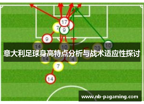 意大利足球身高特点分析与战术适应性探讨