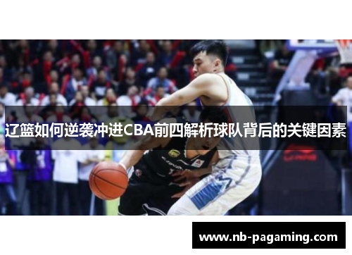 辽篮如何逆袭冲进CBA前四解析球队背后的关键因素