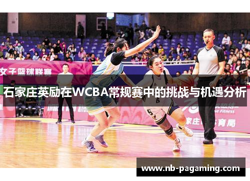 石家庄英励在WCBA常规赛中的挑战与机遇分析