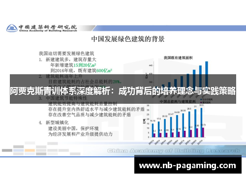 阿贾克斯青训体系深度解析：成功背后的培养理念与实践策略