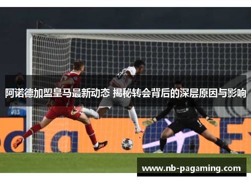 阿诺德加盟皇马最新动态 揭秘转会背后的深层原因与影响